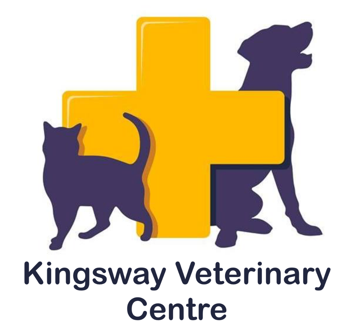 Kingsway Veterinary Centre